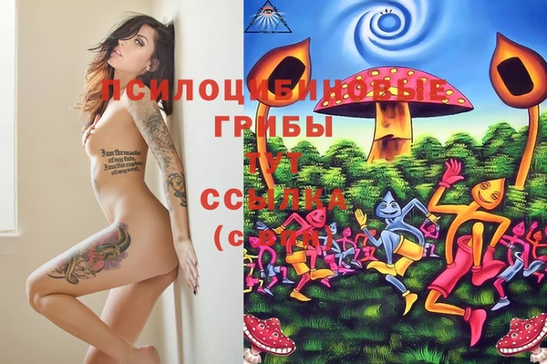 эйфоретик Абдулино