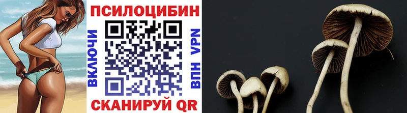 Псилоцибиновые грибы ЛСД  цены наркотик  Ржев 