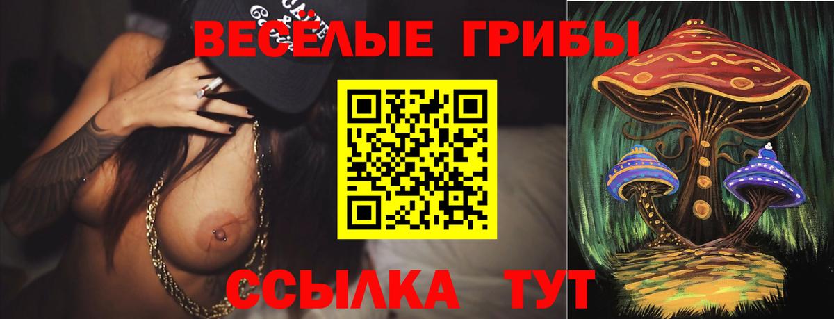 магазин продажи   Вход с VPN  Ржев  Галлюциногенные грибы MAGIC MUSHROOMS 